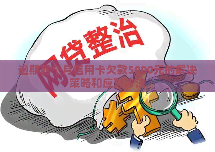 逾期四个月信用卡欠款5000元的解决策略和应对方法