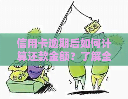 信用卡逾期后如何计算还款金额？了解全面解决方案和步骤