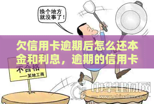 欠信用卡逾期后怎么还本金和利息，逾期的信用卡如何归还，逾期还款后的影响