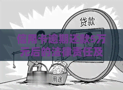 信用卡逾期还款5万元后的法律责任及可能的诉讼时长全解析