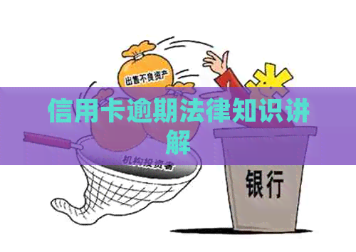 信用卡逾期法律知识讲解