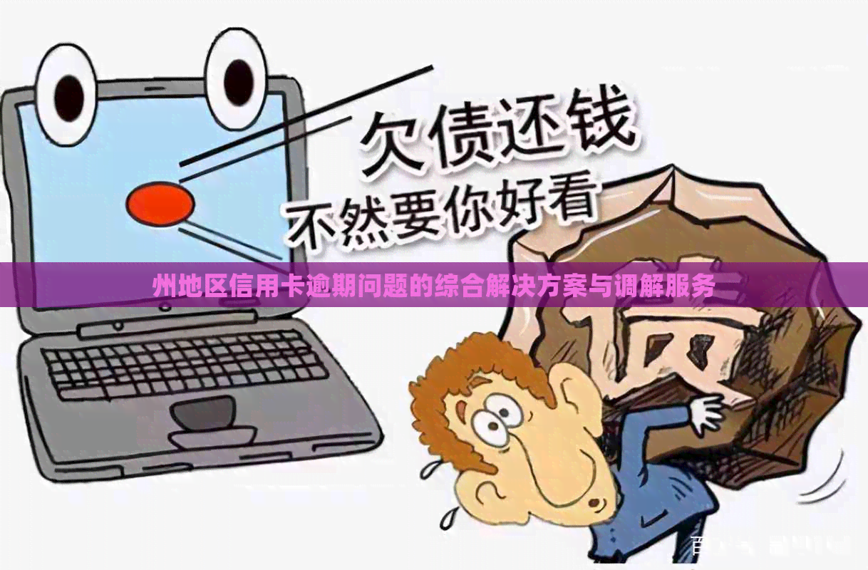 州地区信用卡逾期问题的综合解决方案与调解服务