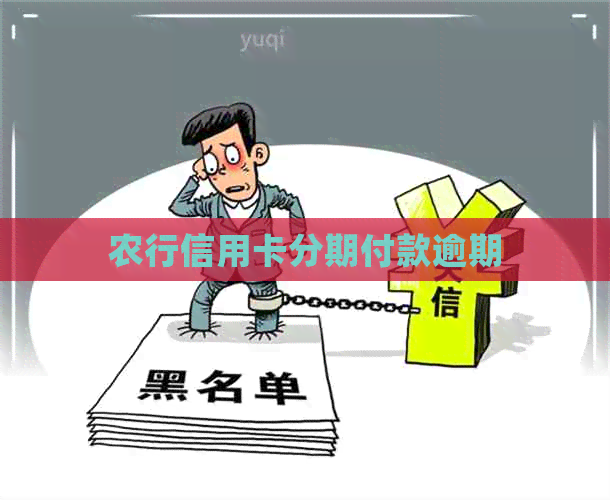 农行信用卡分期付款逾期