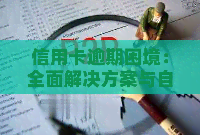 信用卡逾期困境：全面解决方案与自救指南