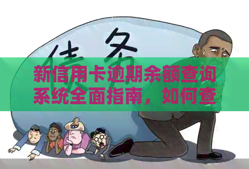 新信用卡逾期余额查询系统全面指南，如何查询、操作及注意事项一应俱全