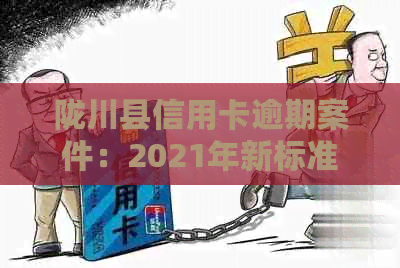 陇川县信用卡逾期案件：2021年新标准与最新信息查询