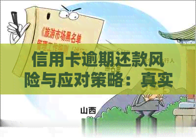 信用卡逾期还款风险与应对策略：真实案例分析