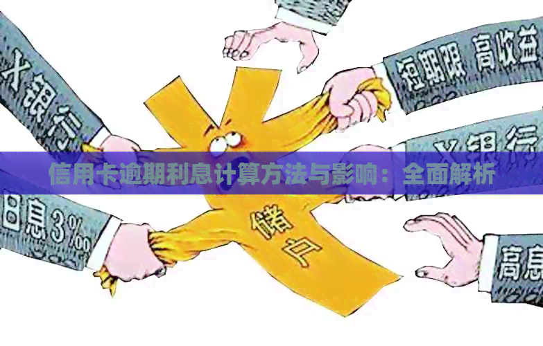 信用卡逾期利息计算方法与影响：全面解析
