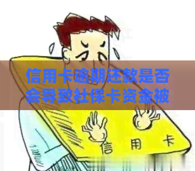 信用卡逾期还款是否会导致社保卡资金被划扣？如何避免此类问题？