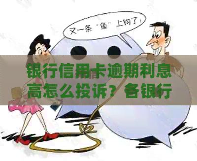 银行信用卡逾期利息高怎么投诉？各银行信用卡逾期利息计算与投诉方法汇总。