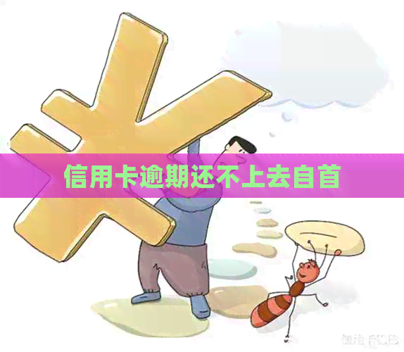 信用卡逾期还不上去自首