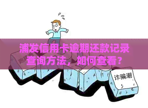 浦发信用卡逾期还款记录查询方法，如何查看？