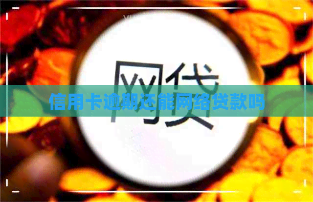 信用卡逾期还能网络贷款吗