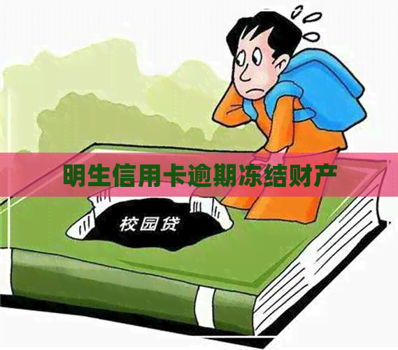 明生信用卡逾期冻结财产