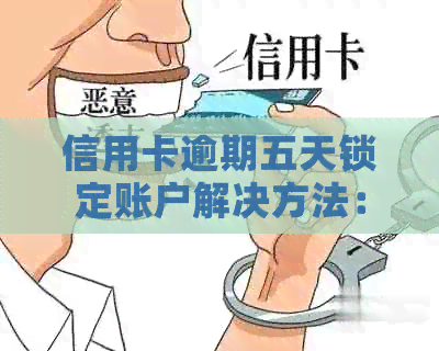 信用卡逾期五天锁定账户解决方法：如何解锁和避免后果