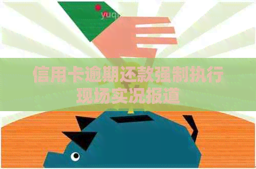 信用卡逾期还款强制执行现场实况报道