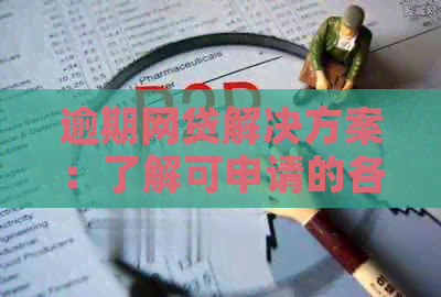 逾期网贷解决方案：了解可申请的各类贷款选项，助您及时还款