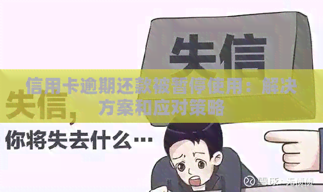 信用卡逾期还款被暂停使用：解决方案和应对策略
