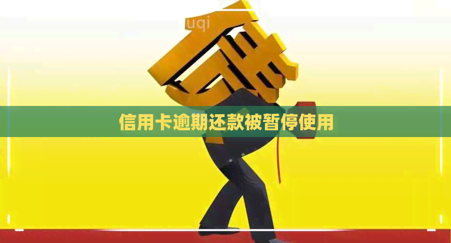 信用卡逾期还款被暂停使用