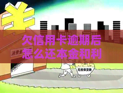 欠信用卡逾期后怎么还本金和利息：解决方法及影响