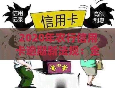 2020年农行信用卡逾期新法规：全解析与新变化