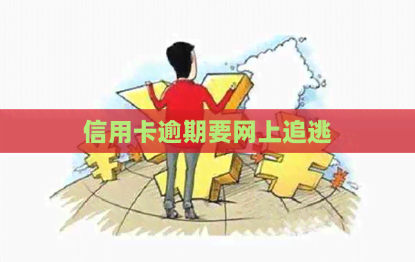 信用卡逾期要网上追逃