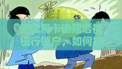 新信用卡逾期后被银行销户，如何重新办理信用卡并避免逾期问题？