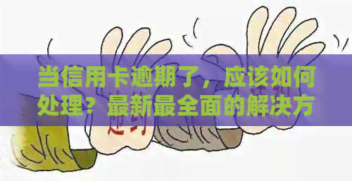 当信用卡逾期了，应该如何处理？最新最全面的解决方案！