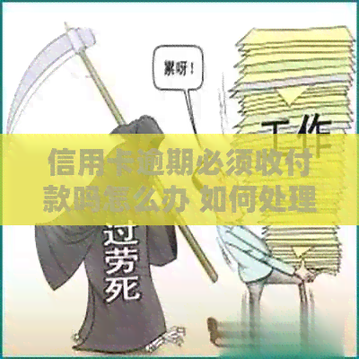 信用卡逾期必须收付款吗怎么办 如何处理信用卡逾期的还款问题？