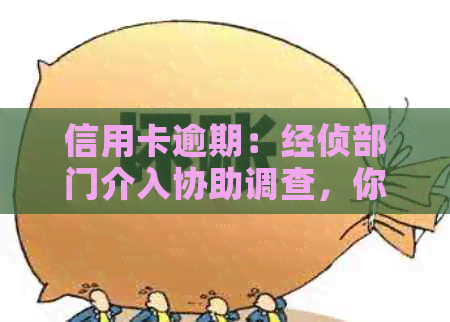 信用卡逾期：经侦部门介入协助调查，你的权益如何保障？