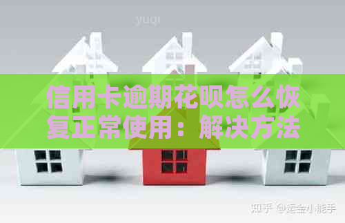 信用卡逾期花呗怎么恢复正常使用：解决方法与建议