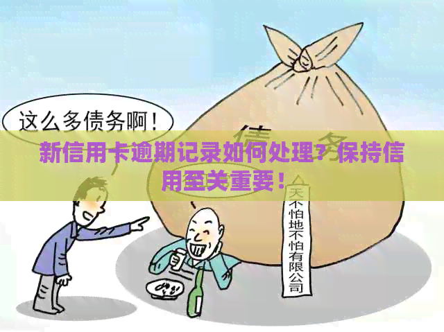 新信用卡逾期记录如何处理？保持信用至关重要！