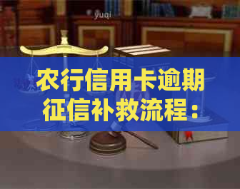 农行信用卡逾期补救流程：2021年新法规，如何应对逾期问题？
