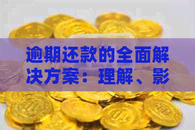 逾期还款的全面解决方案：理解、影响及如何避免