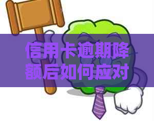 信用卡逾期降额后如何应对：解决方法及预防措一览