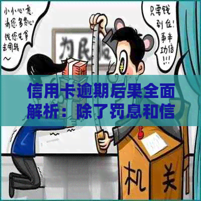 信用卡逾期后果全面解析：除了罚息和信用记录受损，还可能面临这些麻烦