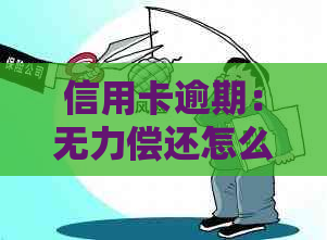 信用卡逾期：无力偿还怎么办？只还本金流程及停息挂账解决办法
