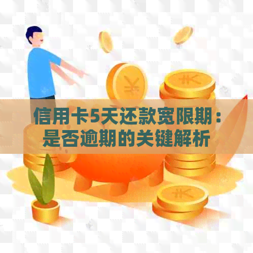 信用卡5天还款宽限期：是否逾期的关键解析