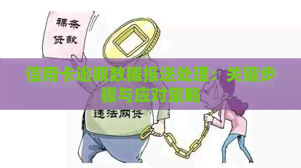 信用卡逾期数据报送处理：关键步骤与应对策略