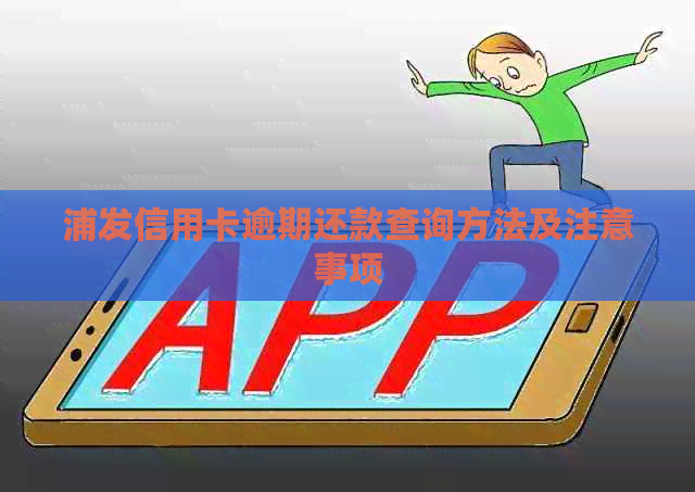 浦发信用卡逾期还款查询方法及注意事项