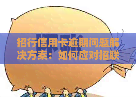 招行信用卡逾期问题解决方案：如何应对招联金融的要求？
