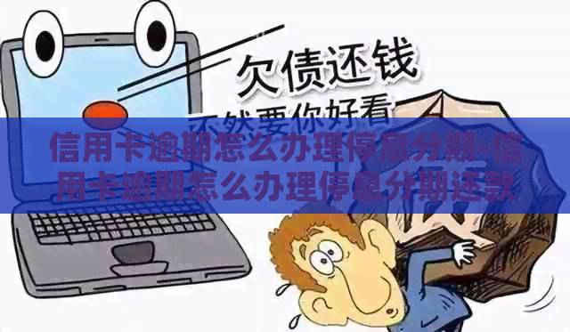 信用卡逾期怎么办理停息分期-信用卡逾期怎么办理停息分期还款
