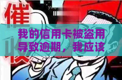 我的信用卡被盗用导致逾期，我应该怎么办？