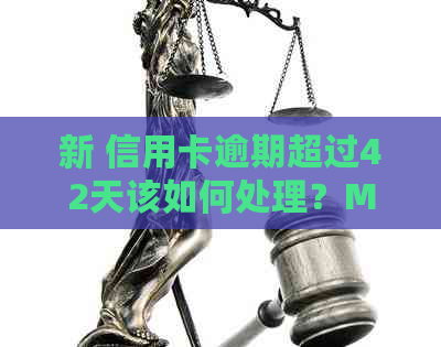 新 信用卡逾期超过42天该如何处理？M42相关策略和建议