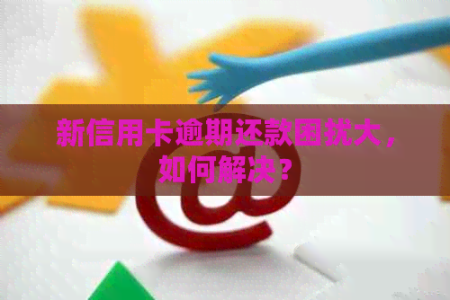 新信用卡逾期还款困扰大，如何解决？