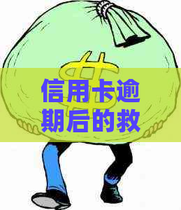 信用卡逾期后的救急贷款选择：哪些方式能帮助我度过难关？