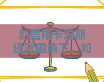 新信用卡逾期还款困境下，如何寻求合适的借款渠道？