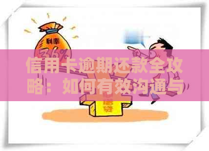 信用卡逾期还款全攻略：如何有效沟通与客服协调，快速还清欠款！