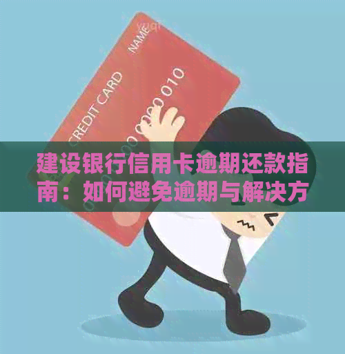 建设银行信用卡逾期还款指南：如何避免逾期与解决方法