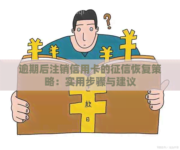 逾期后注销信用卡的恢复策略：实用步骤与建议